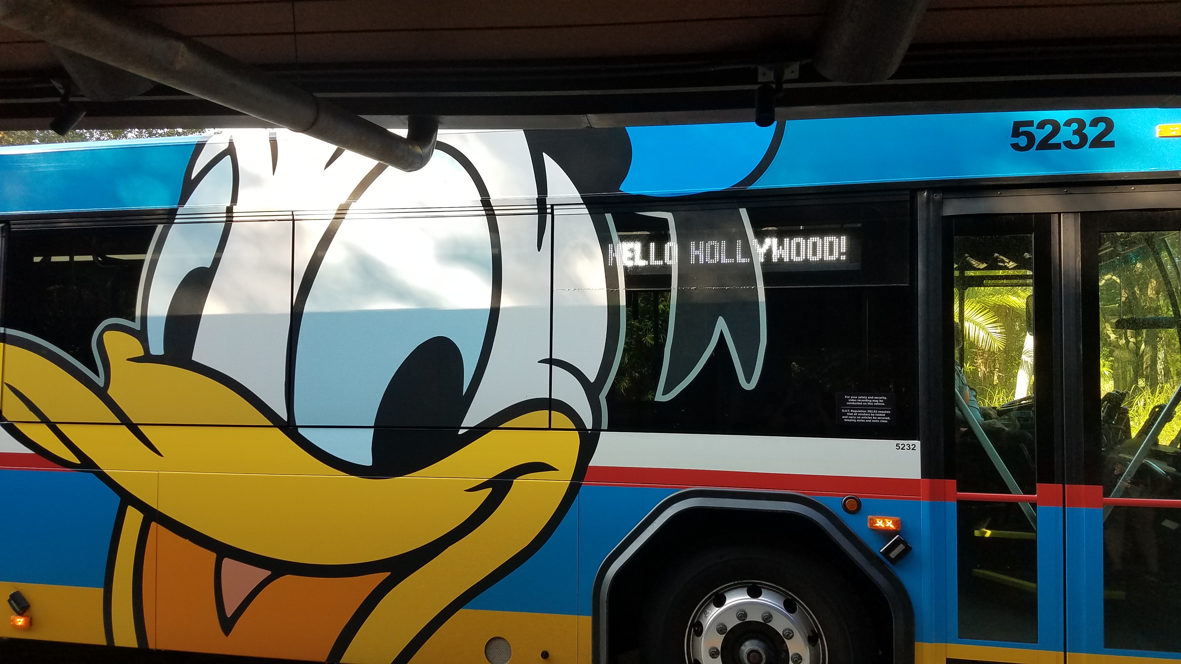 New Walt Disney World Buses | Cheers For The Ears